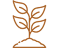 The image shows a simple, minimalist icon of a plant with two stems and multiple leaves, depicted in brown.