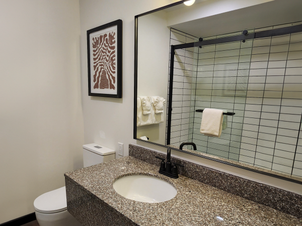 A modern bathroom with a granite countertop, sink, wall mirror, lights, shower, and artwork above the toilet.