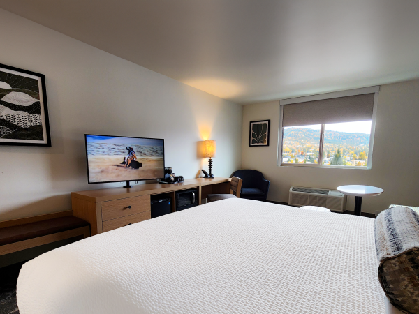A hotel room with a bed, TV, artwork, lamp, and window with a view of trees and hills is shown.