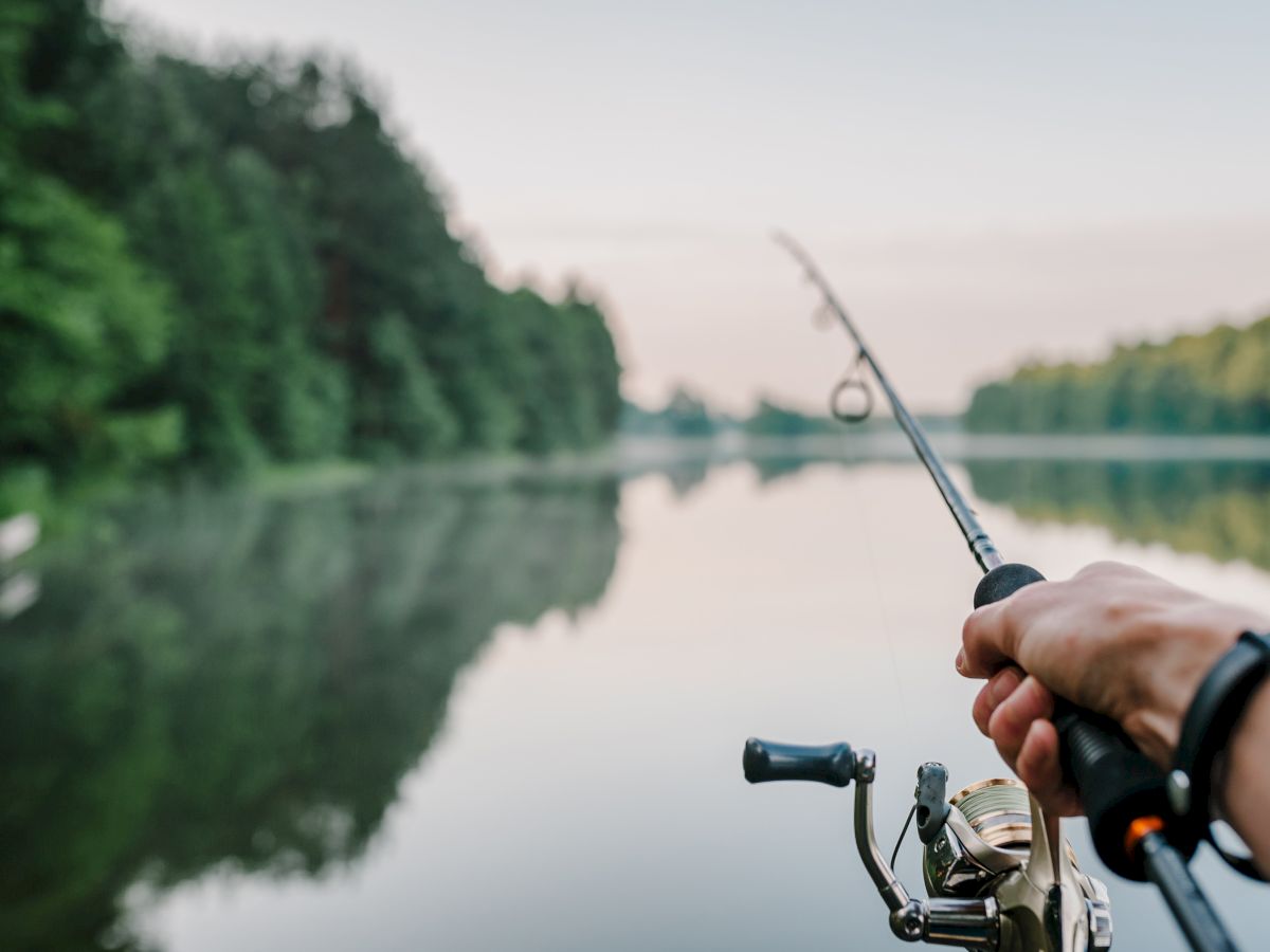 A person fishing on a calm lake, surrounded by trees, with a fishing rod extended over the water in the peaceful outdoor scenery.