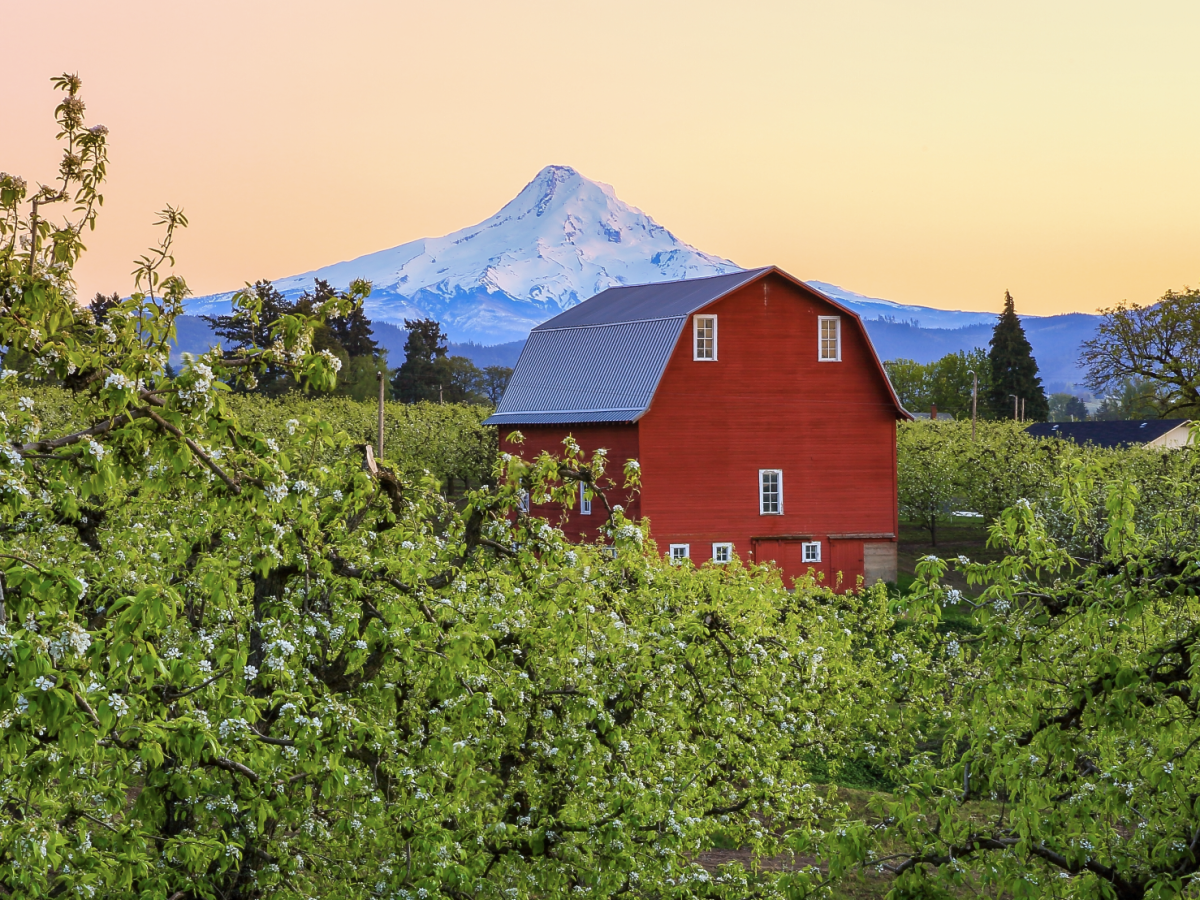 A red barn stands amid lush greenery, set against a snow-capped mountain under a serene sky.